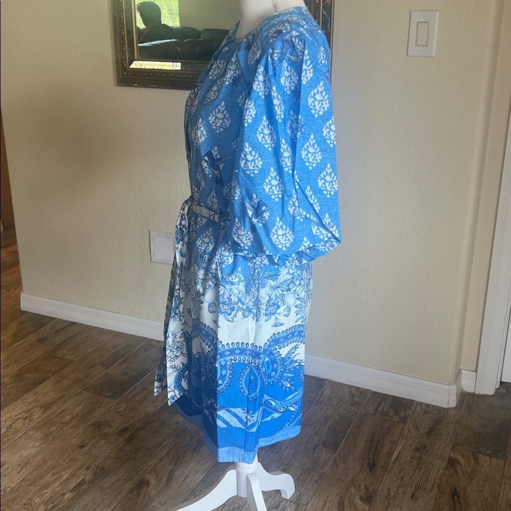 A Loves A Blue Printed Button-Front Dress - Picture 13 of 16